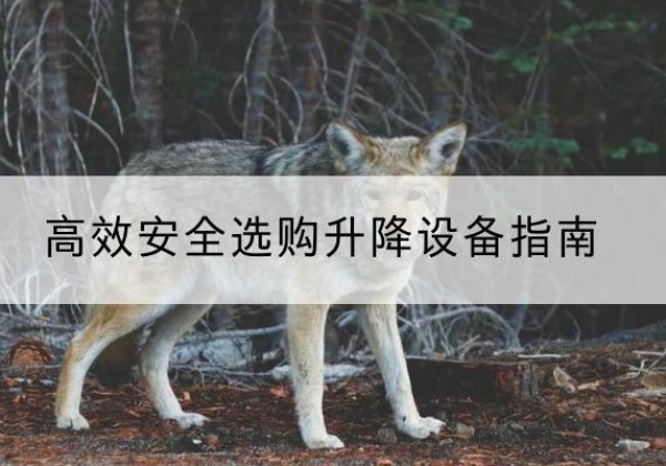 站前升降货梯厂家推荐-*安全选购升降设备指南