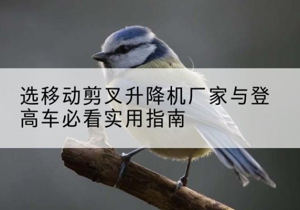 站前电动升降机厂家-选移动剪叉升降机厂家与登高车必看实用指南