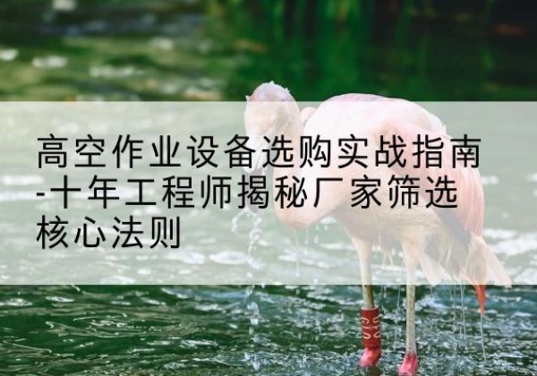 站前剪叉式升降机厂家-高空作业设备选购实战指南-十年工程师揭秘厂家筛选核心法则